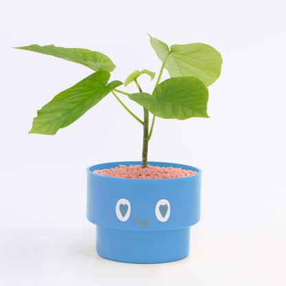 【ベーシック】PEco plants