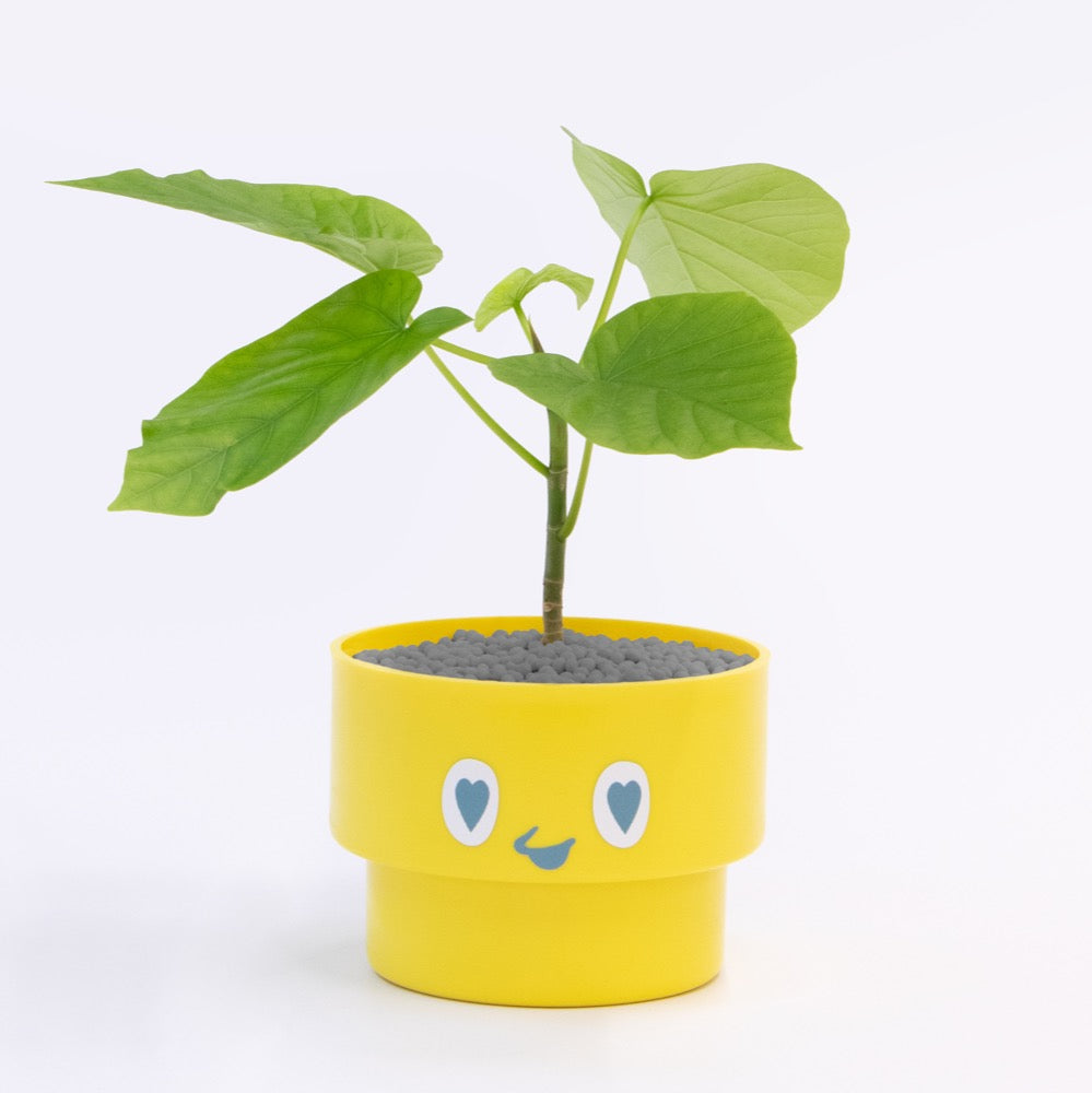 【ベーシック】PEco plants
