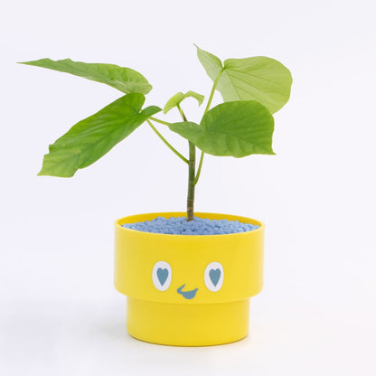 【ベーシック】PEco plants