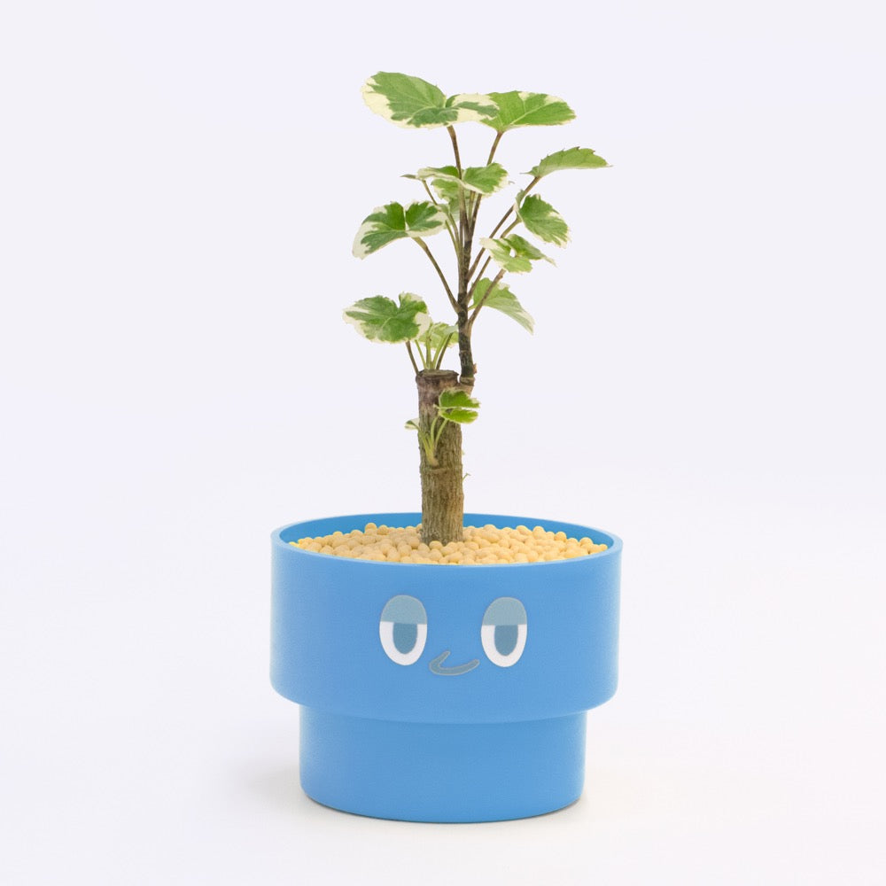 【ベーシック】PEco plants