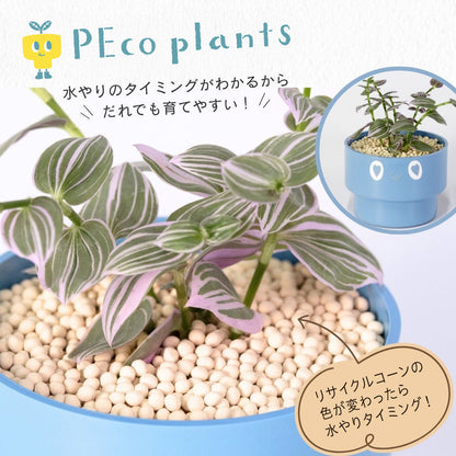 【ベーシック】PEco plants